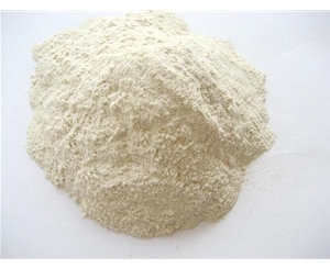 谷朊粉(小麥面筋蛋白)